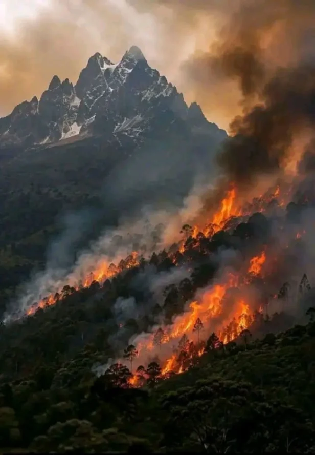 Mt kenya is on fire