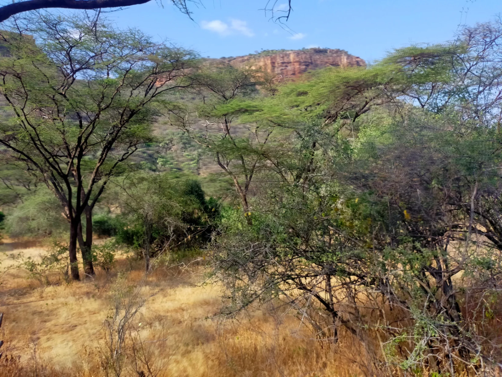 Mt Ololokwe hike and Samburu road trip - Photo 7